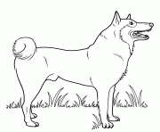Printable Street Dog coloring pages